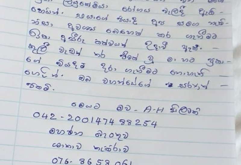 151939745_387567035894074_7250331756342761210_n