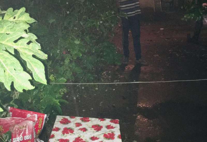 131988587_347681349882643_4048008178701810998_n