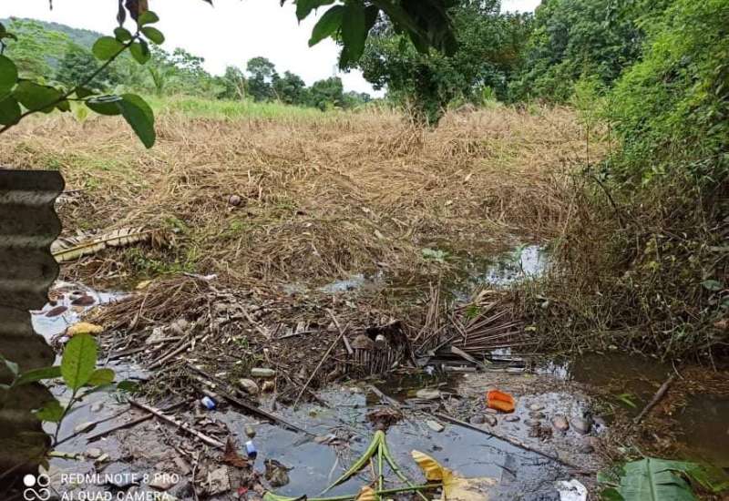 201255306_459031492080961_6278840208340809706_n