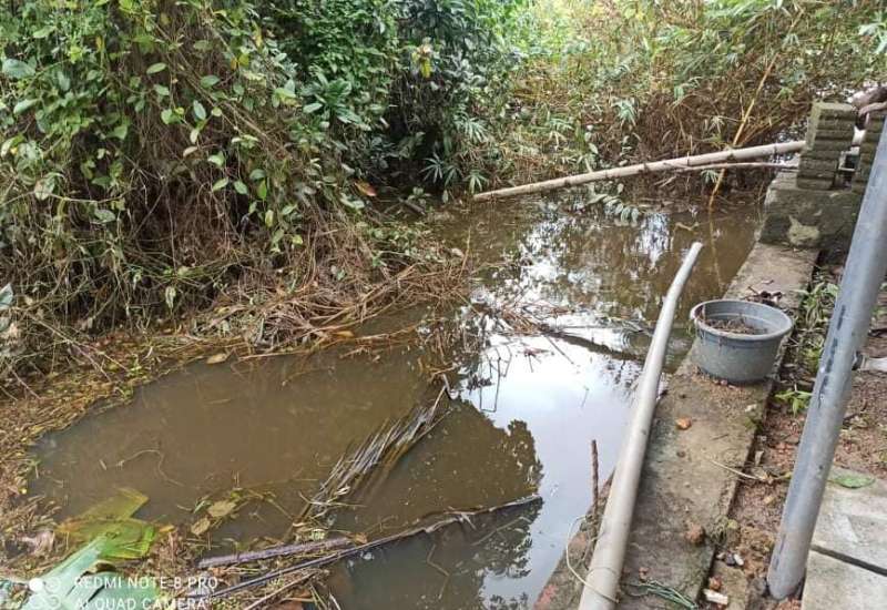 201398280_459032095414234_5610884233726369626_n